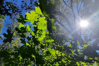 Четыре летних месяца и 46 дней 30-градусной жары: эксперты установили 5 рекордов лета-2021