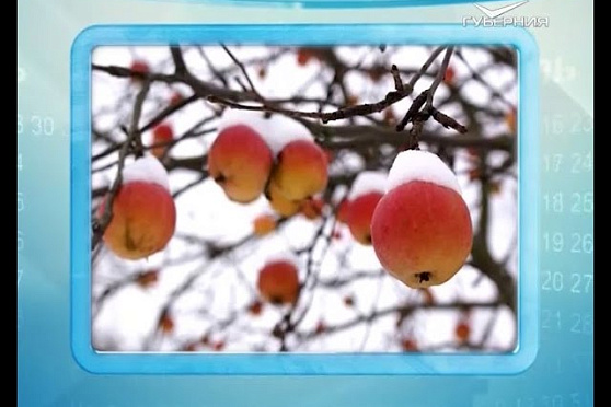 Календарь губернии 15.02.2016