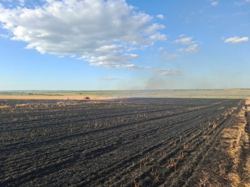 В Самарской области сгорело 800 "квадратов" поля