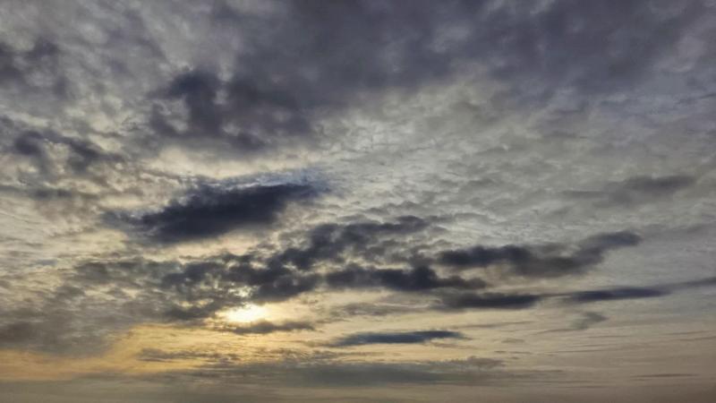 Дождь и +13 °С: стало известно, какая будет погода в Самарской области 14 марта