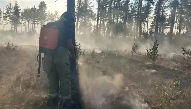 "Угрозы населенным пунктам нет": глава регионального МЧС доложил о ситуации с лесным пожаром
