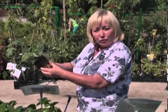 Дачные советы 15.08.2013 