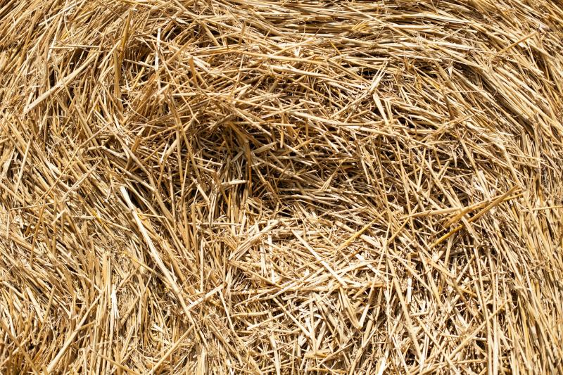 Народные приметы на 16 августа 2025 года: что нельзя делать в этот день