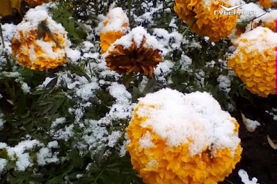 В Самаре выпал первый снег