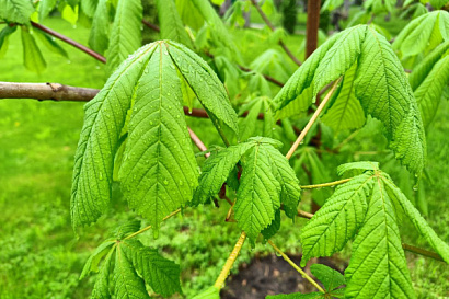 Название статьи