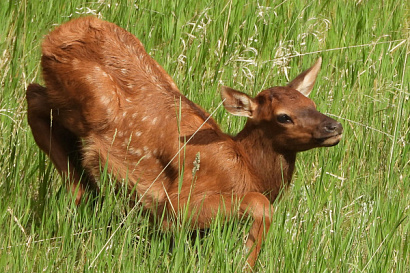 Название статьи