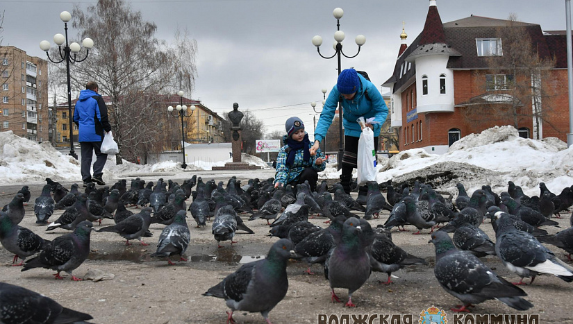 14 марта в истории и архиве "ВК"