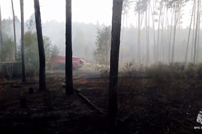 В Самаре огонь уничтожил 1,6 гектара Задельненского лесничества