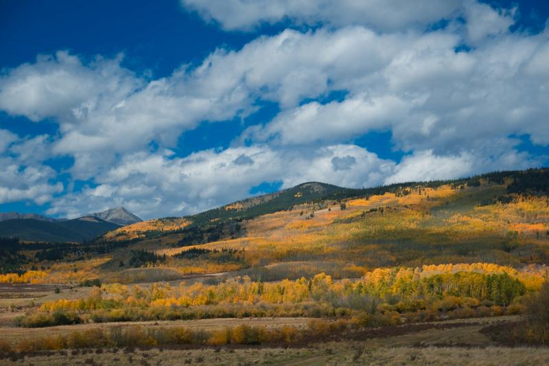 В Самарской области 18 сентября будет тепло и безветренно 