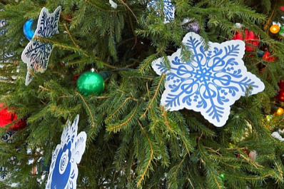 Врио министра культуры Самарской области исполнила желание 7-летней девочки на "Елке желаний"