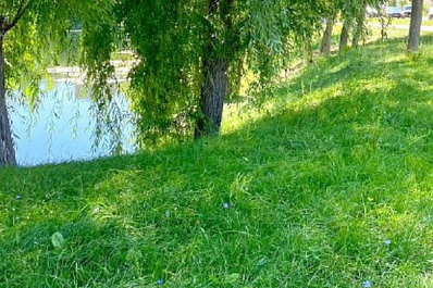 В Хворостянке обновляется пространство у озера Морозиха 