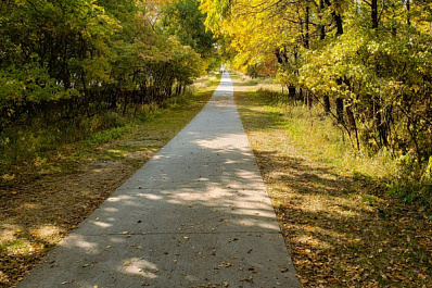 В Новокуйбышевске при содействии системы "Инцидент Менеджмент" привели в порядок заросшие тротуары