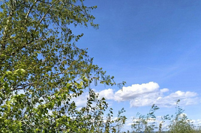 Название статьи