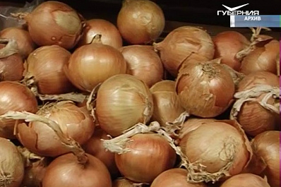 Глава региона обсудил с министром сельского хозяйства России перспективы развития самарского АПК