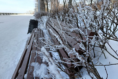 В Тольятти благоустроят парк Центрального района