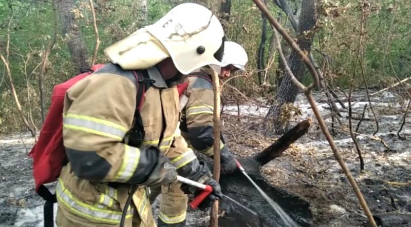 В национальном парке "Бузулукский бор" продолжается борьба с лесным пожаром