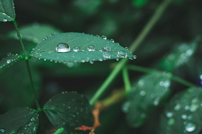 Погода на 7 августа 2025 года: народные приметы и прогноз синоптиков