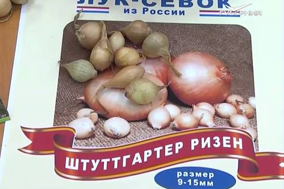 Дачные советы 04.02.2016