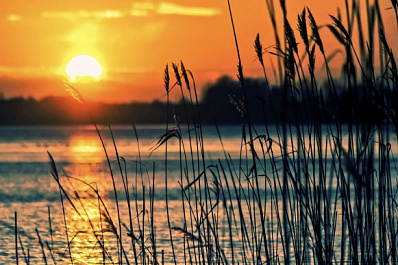 Над Самарой поднимется "клубничная" луна