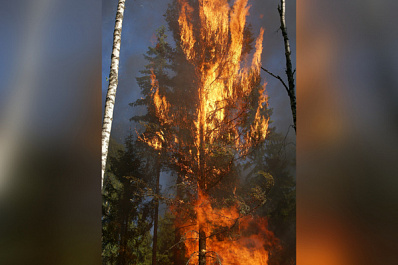 В Самарской области объявили штормовое предупреждение из-за угрозы лесных пожаров