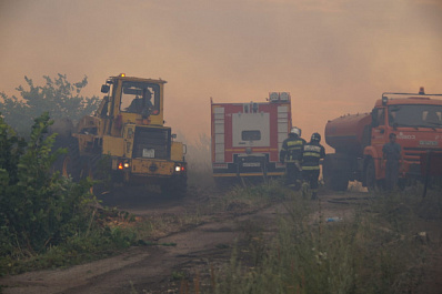 В Тольятти усилят патрулирование городских лесов