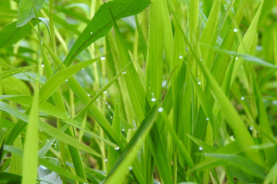 Погода на 25 июля 2025 года: народные приметы и прогноз синоптиков