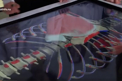 IT-медицина: самарские школьники погрузились в интерактивный мир с помощью технологии VR