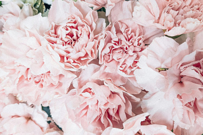 Букеты к 8 Марта: на что обратить внимание при выборе цветов