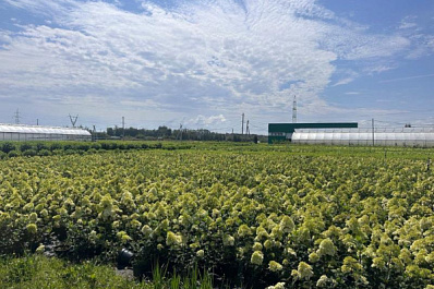 Сделано в Самарской области: региональный садовый центр осваивает зарубежные рынки