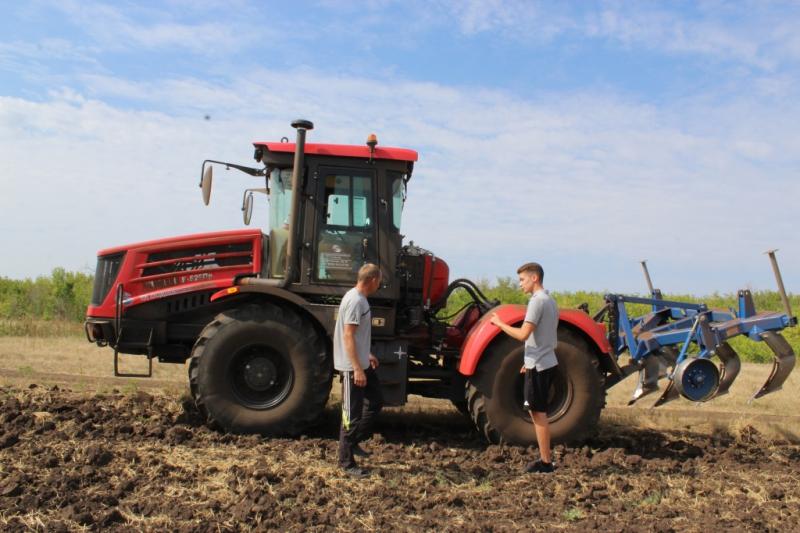 С расчетом на свои силы: как хозяйству из Похвистневского района удалось сдержать удар аномальной жары