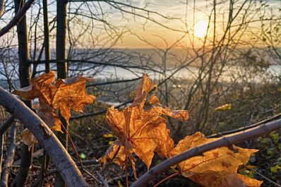 Стало известно, какая погода ждет самарских школьников на осенних каникулах