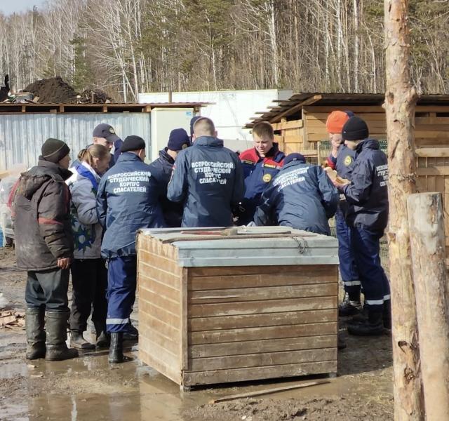 В Свердловской области неравнодушные жители помогают сгоревшему дому-приюту для животных