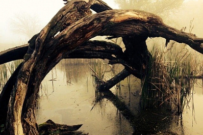 Первые миллионы выделили для очистки реки Сызранки