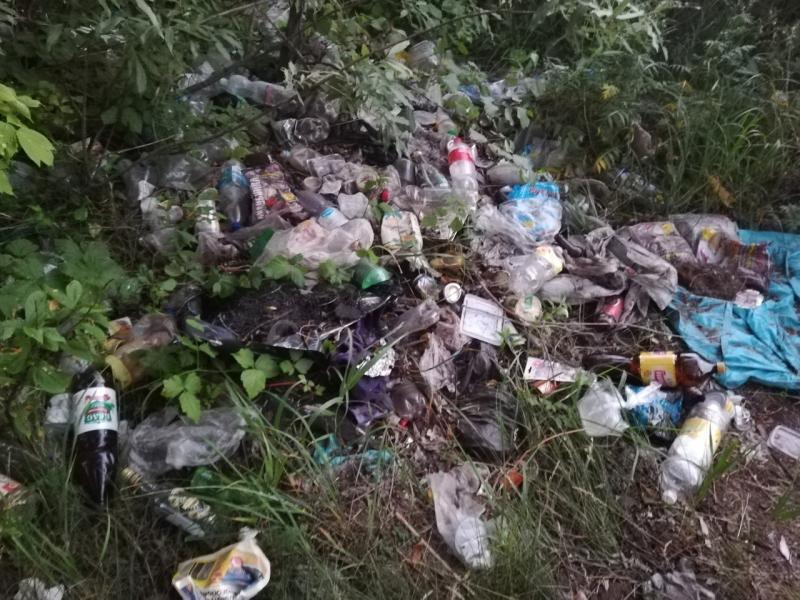 Несколько мешков "добычи" удалось собрать на рыбалке жительнице Сызрани