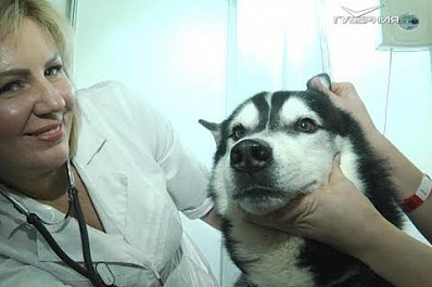 Ветцентр "Никольский" принимает участие в зоовыставке в Самаре