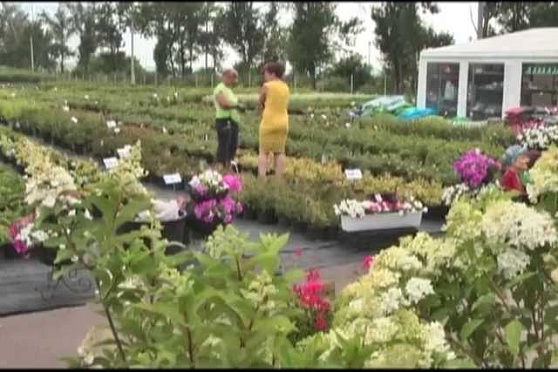 Дачные советы 18.07.2013 