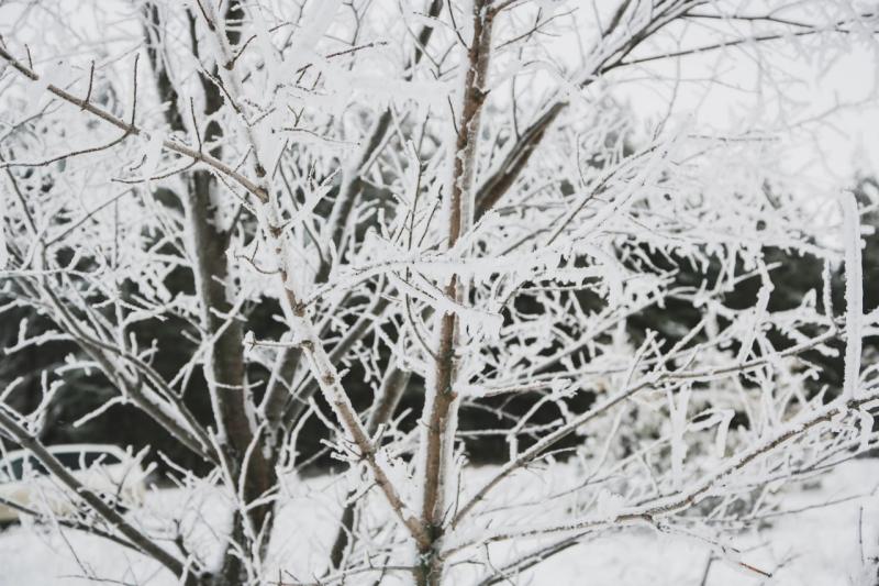 Народные приметы на 31 января 2025 года: что нельзя делать в этот день