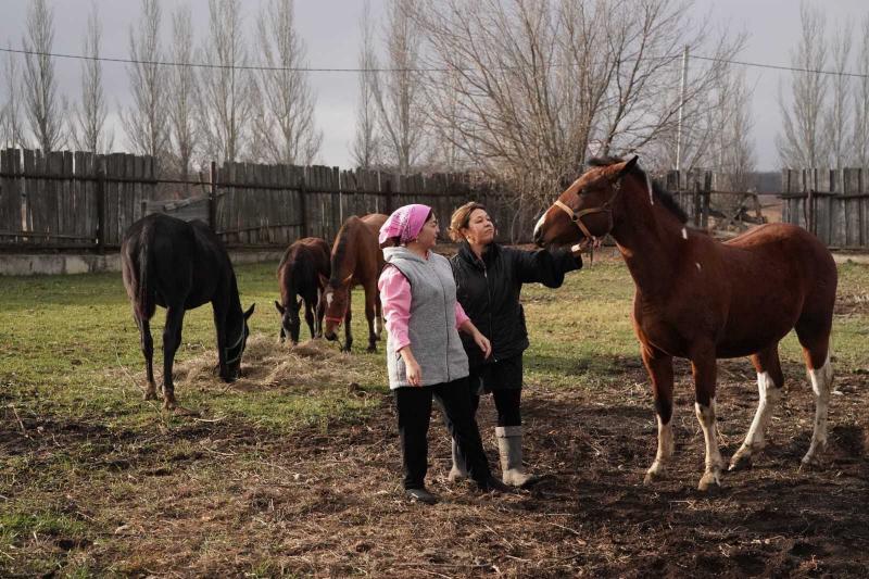 Впервые 7 фермеров Самарской области стали получателями губернаторского гранта "Агростартап-Регион"