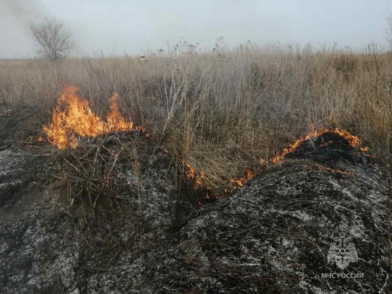 В Волжском районе загорелась сухая трава на площади 600 кв. метров