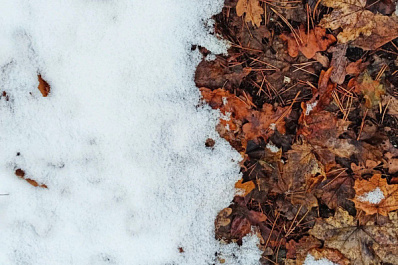 В Самарской области 2 декабря будет облачно и снежно 