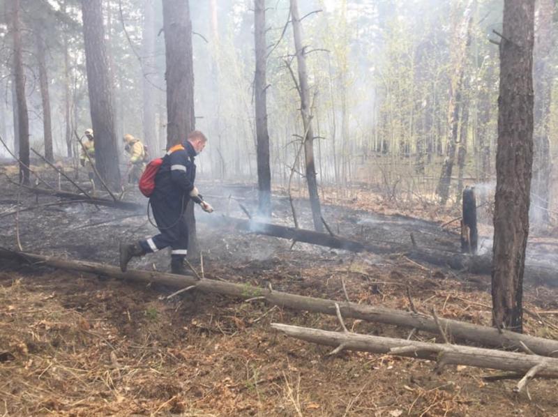В Тольятти в городском лесничестве загорелся лес