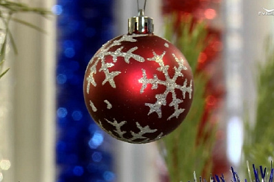 Члены "Единой России" исполняют новогодние мечты детей