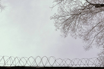 Название статьи