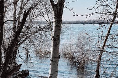 К 27 апреля в Самарской области от воды освободились еще 14 домов и 40 участков