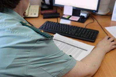 В Самарской области приставы за долги арестовали 5 тонн пшеницы