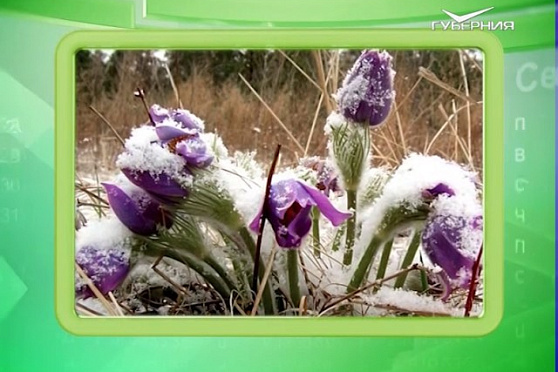 Календарь губернии 19.04.2017