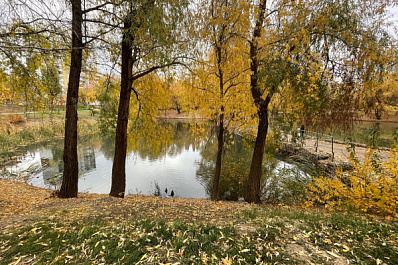 В Самарской области 27 октября воздух прогреется до +10 °C