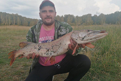 В Новосибирской области рыбак поймал огромную щуку