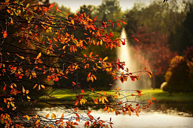 В парке села Абашево может появиться фонтан 