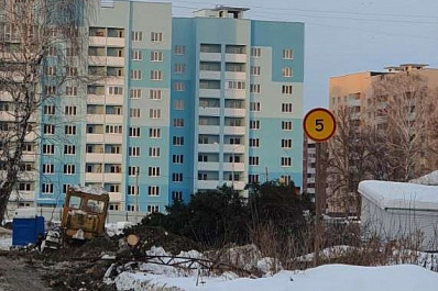 Администрация Самары объяснила, почему вырубили ели на Мехзаводе